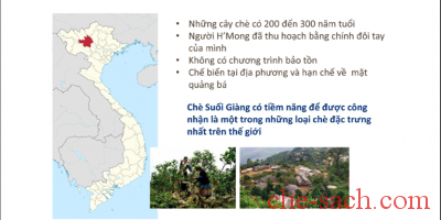 tra-co-thu-suoi-giang-infographic-1