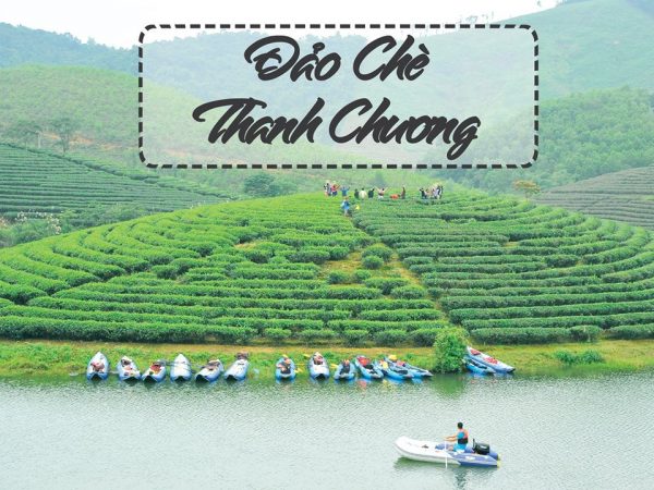 kham-pha-oc-dao-che-thanh-chuong-nghe-an-26